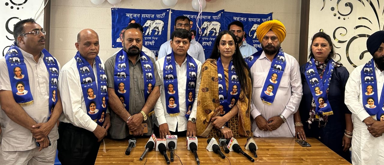 WhatsApp Image 2024 05 02 at 16.29.58