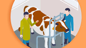 Animal husbandry