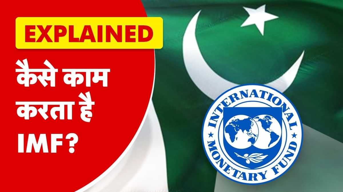 imf jpg